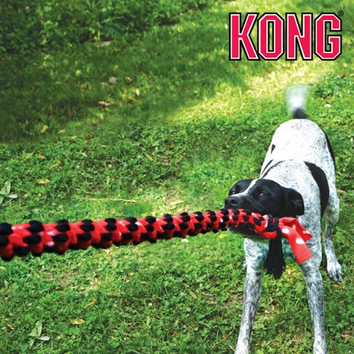 콩 KONG 시그니처 듀얼매듭 로프 강아지 터그 놀이 장난감 중형견 대형견 콩토이